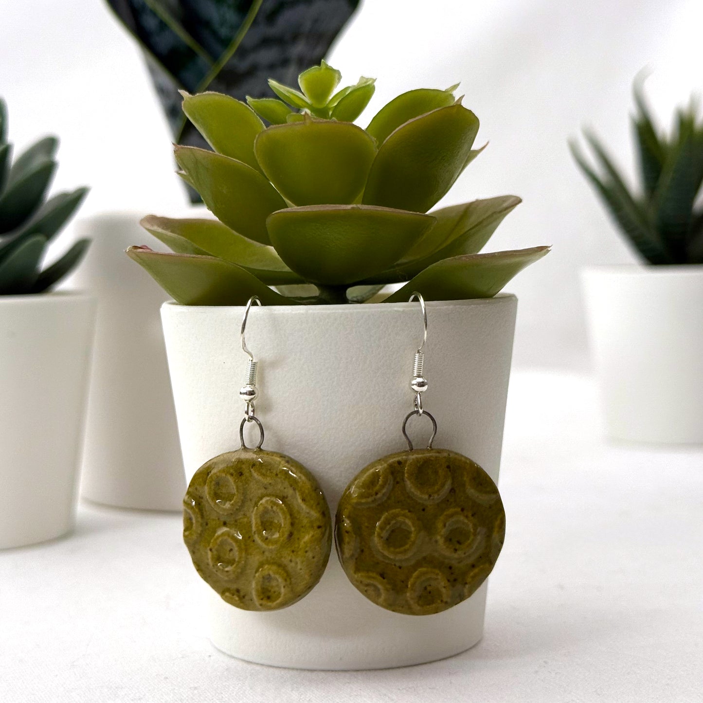 Green circular earrings in front of a white pot with a succulent plant.