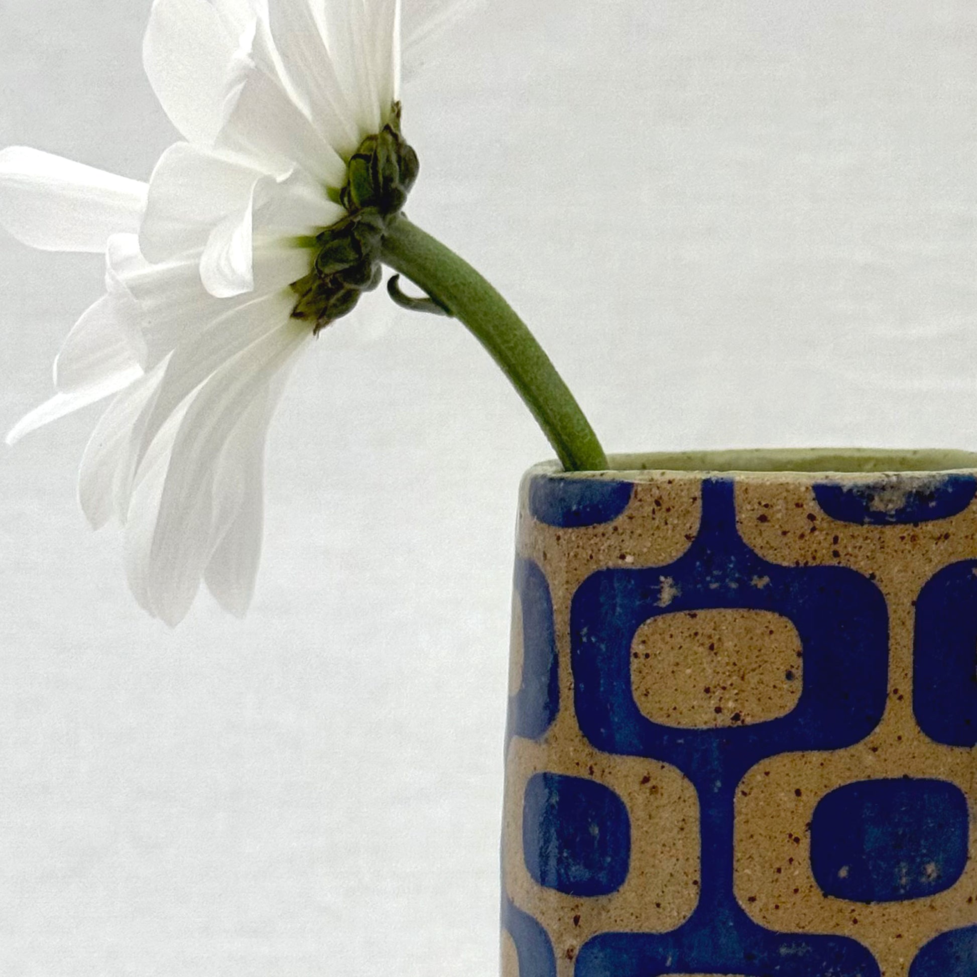 White flower in a blue patterned on speckled stoneware vase against a white background