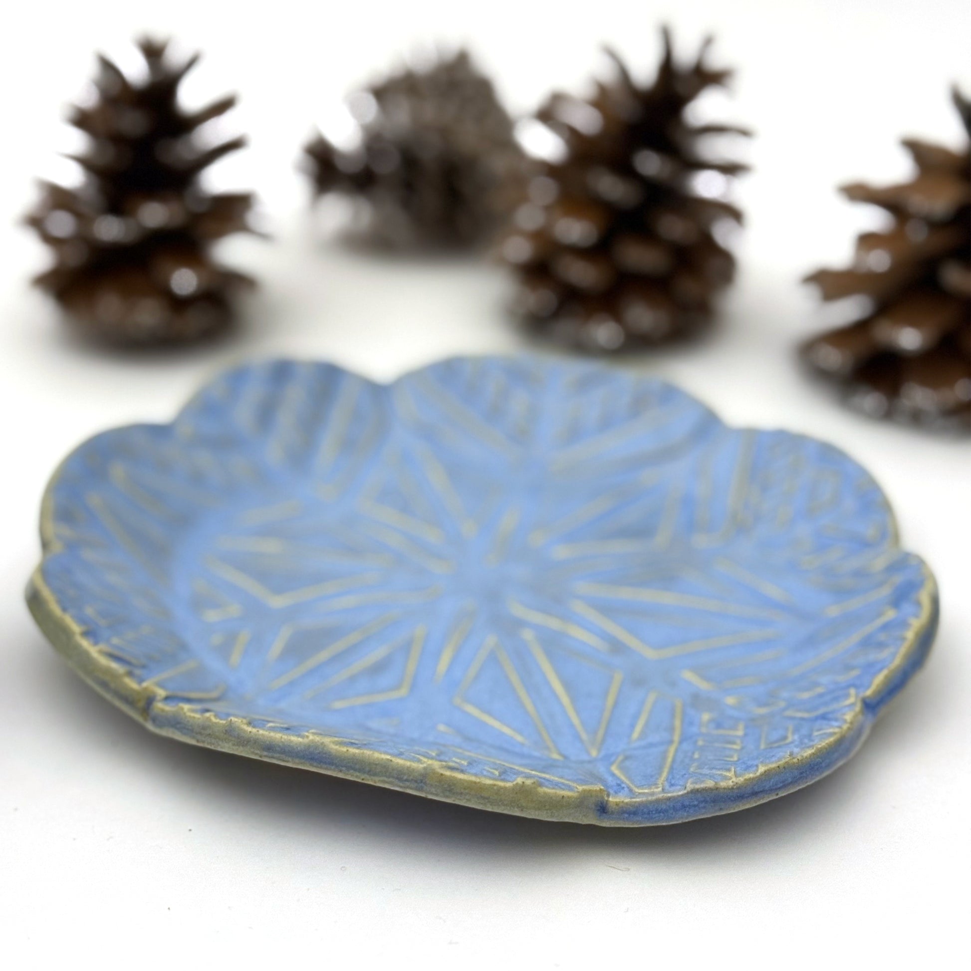 Blue ceramic plate with geometric snowflake pattern on a white background with pinecones