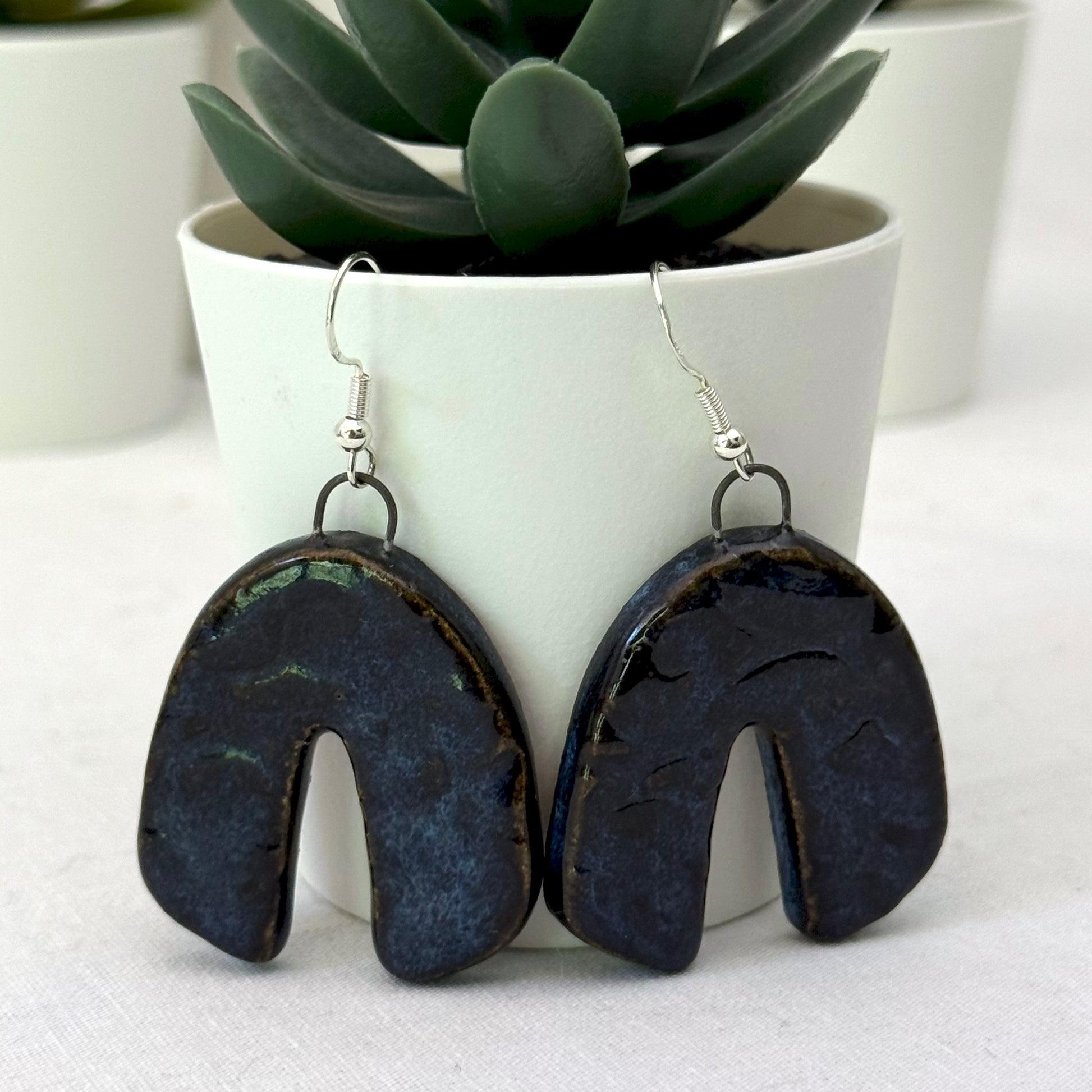 Pair of dark blue earrings with a plant in the background